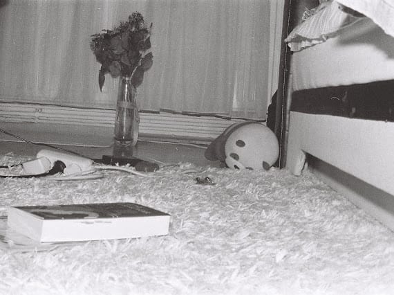 Panda nap