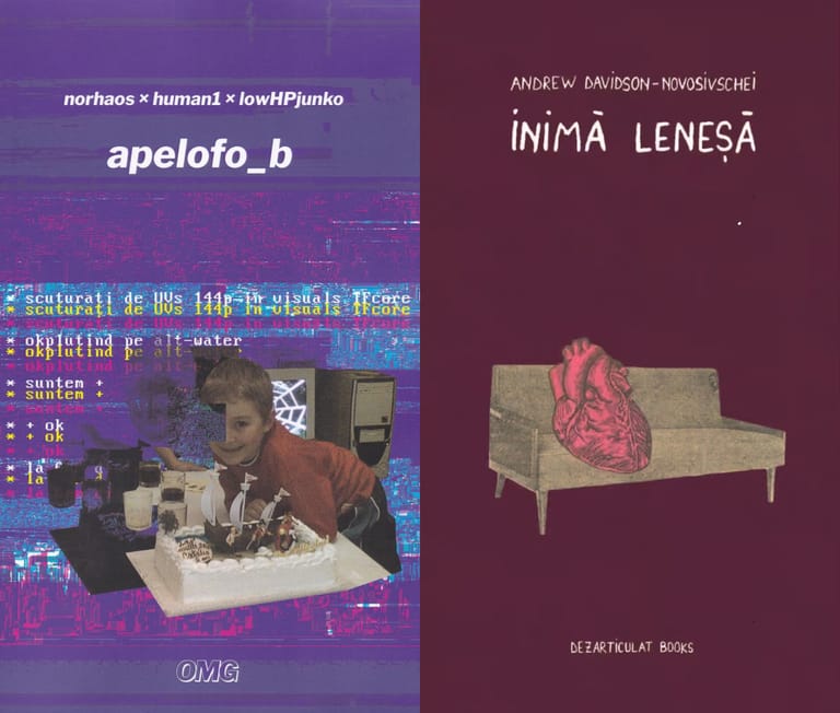 Limbaje ale neoinocenței. Formule și construcții în două debuturi recente în poezie