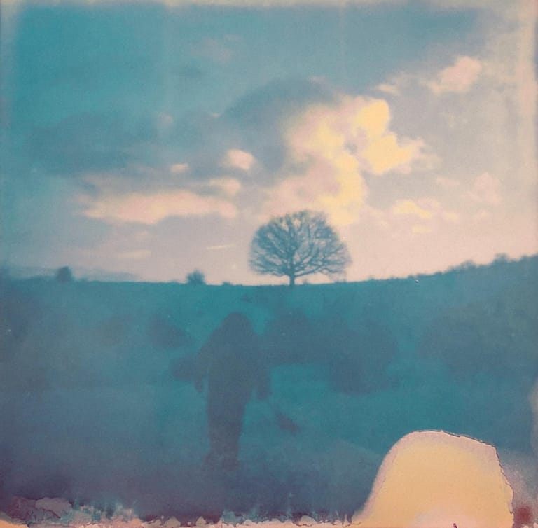 Polaroid cu călător